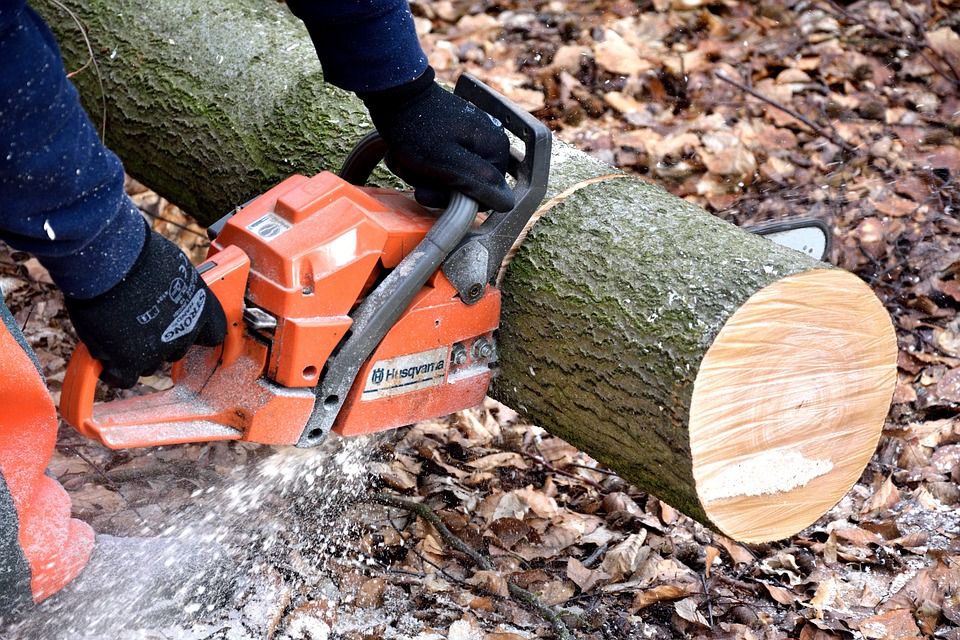 Jak nie zrobić sobie krzywdy podczas cięcia drewna? Unikaj tych zagrożeń 
