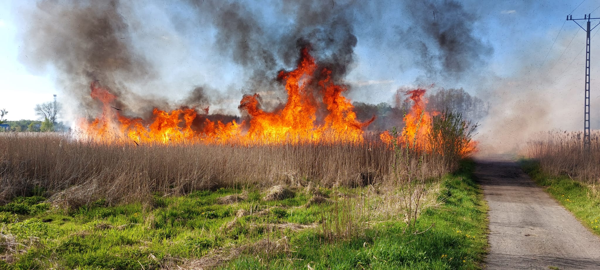 Pożar w Chocianowie (foto) 