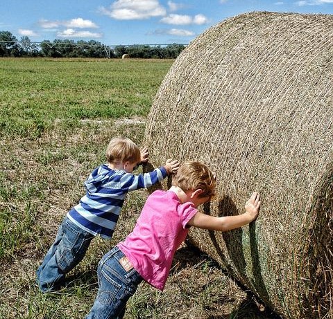 Rolniku, uważaj na dzieci podczas prac polowych 