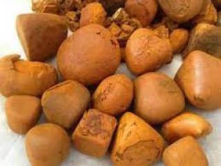 Buy Cow /Ox Gallstone available On Stock Now